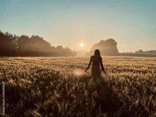 Misty Countryside Morning