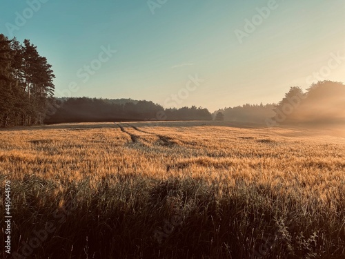 Misty Countryside Morning © Adam