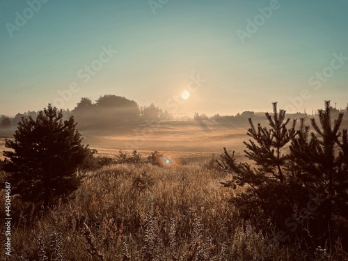 Misty Countryside Morning