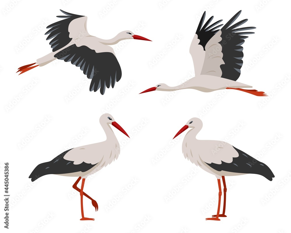Φωτογραφία Standing and flying stork or crane birds isolated