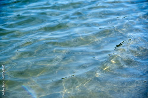 Transparent calm sea surface on a sunny day.