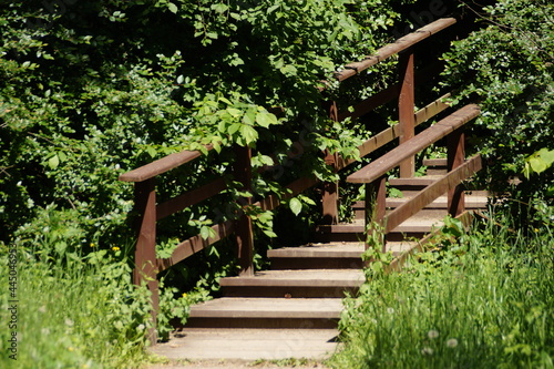 stairway in the park