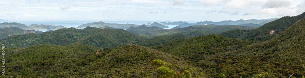 Tranquil upland landscape of Great Barrier Island