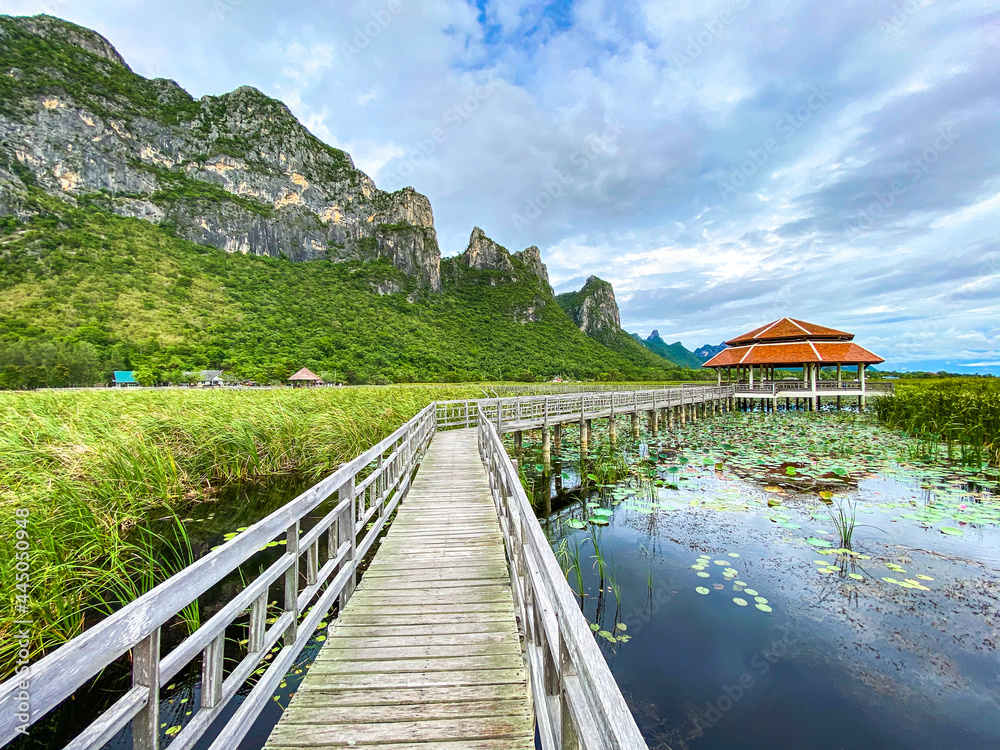 Fototapeta premium Sam Roi Yot Freshwater Marsh, Walk over the marsh, Bueng Bua Wood Boardwalk in Sam Roi Yot national park in Prachuap Khiri Khan, Thailand
