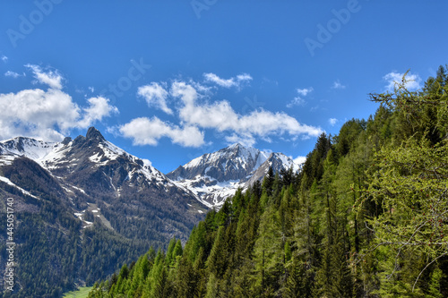 Kals, Großglockner, Talboden, Grün, wachsen, blühen, Gedeien, Gipfel, Schnee, Eis, Fels, imposant, Haus, Dorf, Rotenkogel, Schneebedekct, Blumen, Blumenwiese, Ködnitztal, Ködnitzbach,  Osttirol, Natio photo