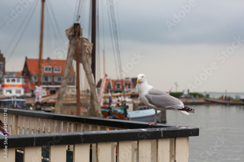 The small town of Volendam, on Markermeer Lake, northeast of Amsterdam, which is known for its colorful wooden houses and the old fishing boats.