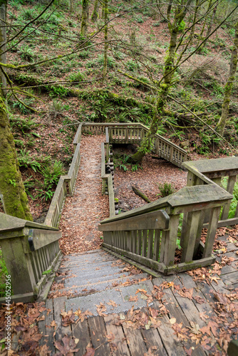 Wooden stairs in the middle of a forest at Tacoma, Washington