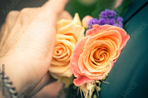 Fotografiet Hand pinning a flower corsage on  blooming flower in the garden