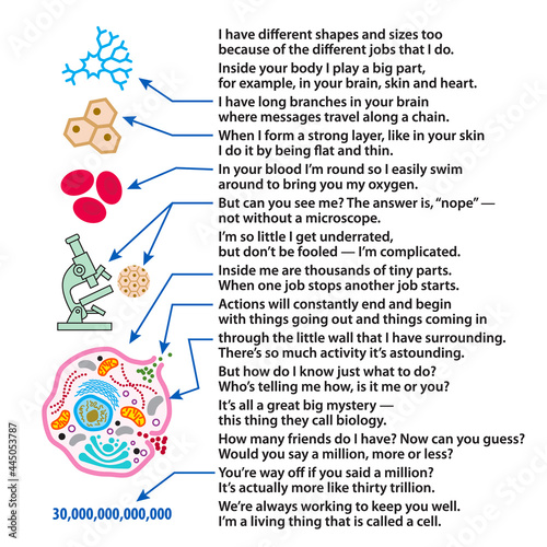 Cell poem for kids