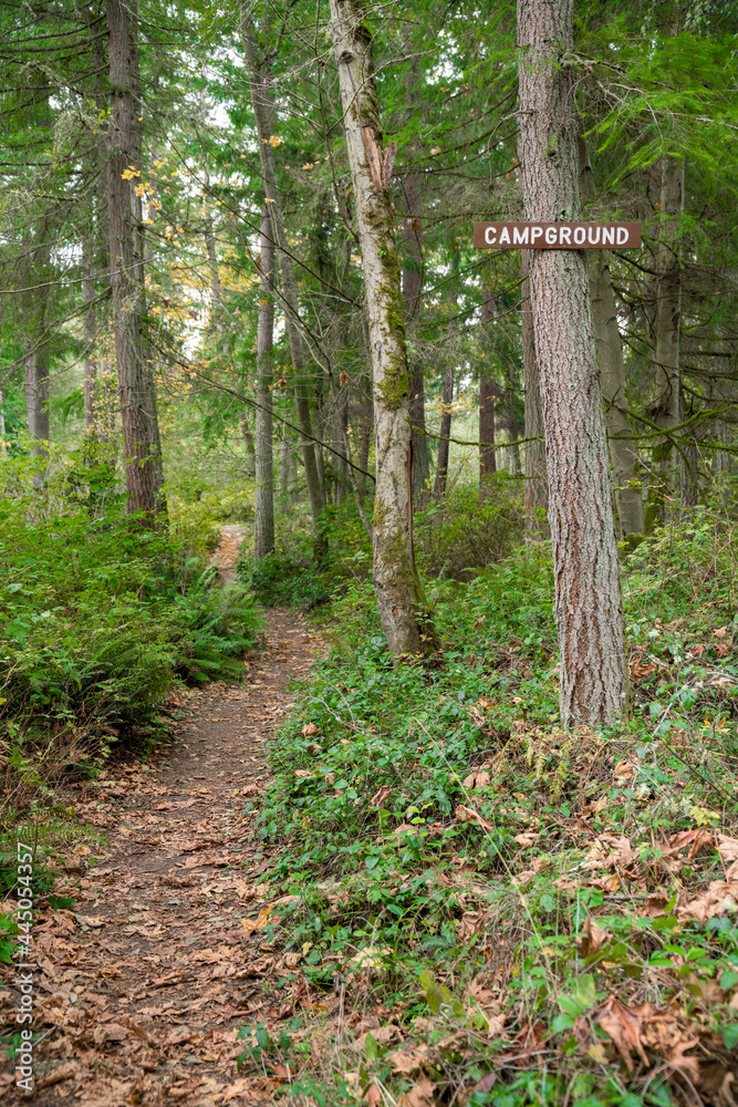 Trail in the middle of the woods with campground signage posted on a tree at Tacoma, Washington Trail in the middle of the woods with campground signage posted on a tree at Tacoma, Washington