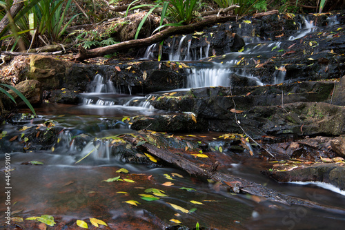 Running stream. The Springbrook National Park is a protected national park that is located in the Gold Coast hinterland of Queensland, Australia. 
