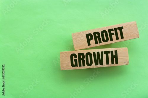 Wooden cubes with lettering spelling Profit Growth. Business or Political concept