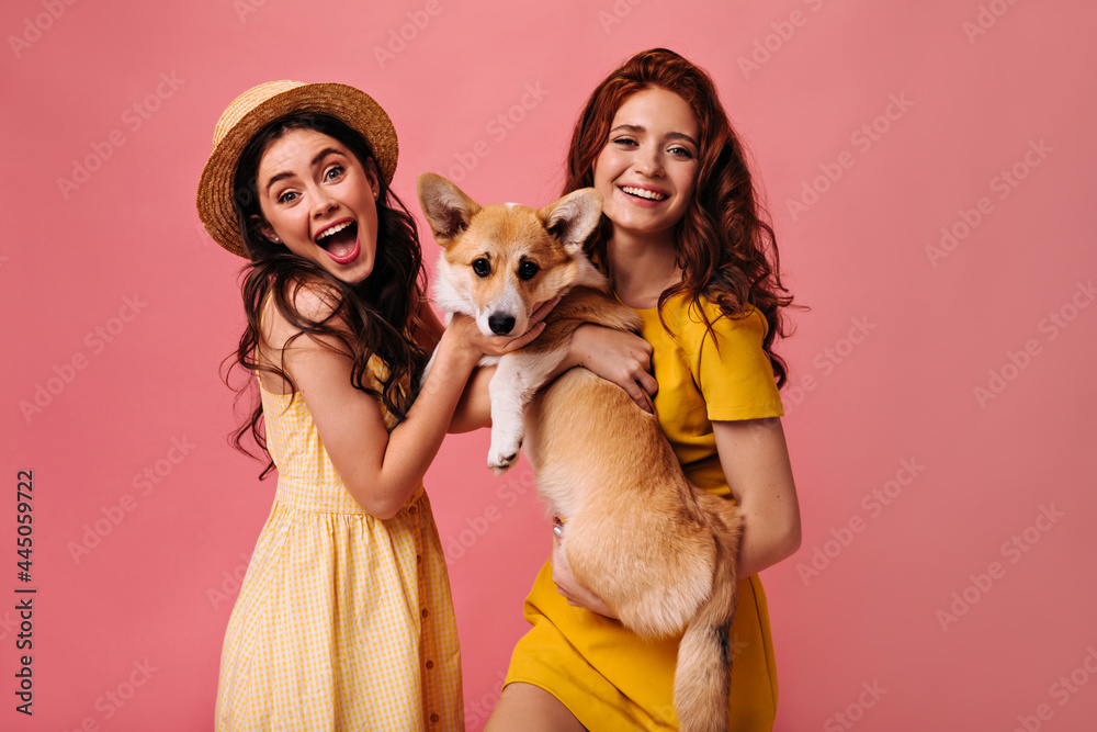Optimistic ladies in yellow dresses hold dog. Smiling girlfriends in fashionable outfits and with bright make-up hug corgi Optimistic ladies in yellow dresses hold dog. Smiling girlfriends in fashionable outfits and with bright make-up hug corgi