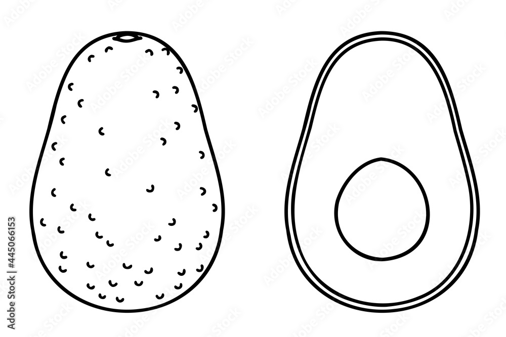 Avocado. Vector line art illustrations set. Avocado. Vector line art illustrations set.
