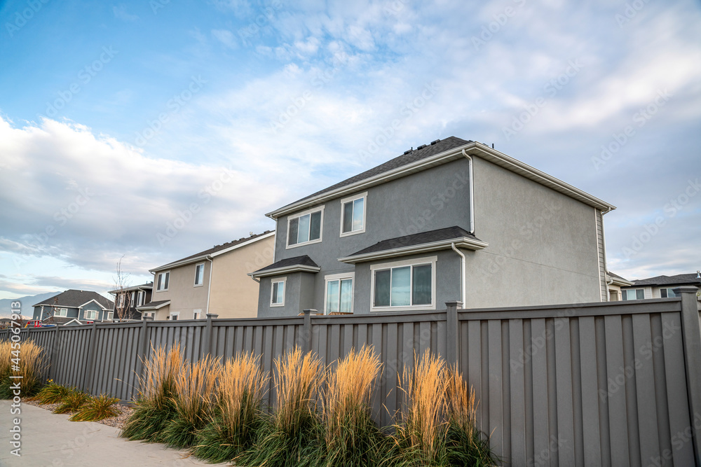 Tall grasses against the gray vinyl fence of a residential area