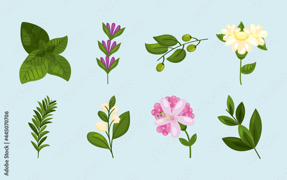 eight spring nature icons
