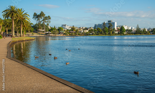 Scenery view of Lake Rotoroa (or Hamilton Lake Domain) in Hamilton, New Zealand. It has a surface area of about 54 hectares and an average depth of 2.4 metres. photo