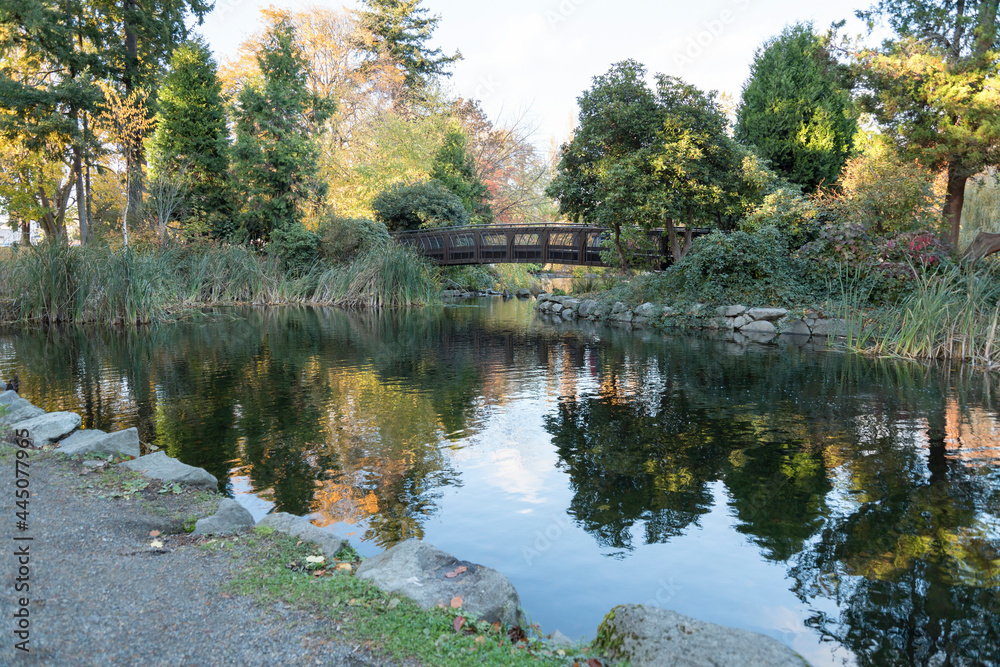 Bridge over a pond with tall grasses at Tacoma in Washington Bridge over a pond with tall grasses at Tacoma in Washington