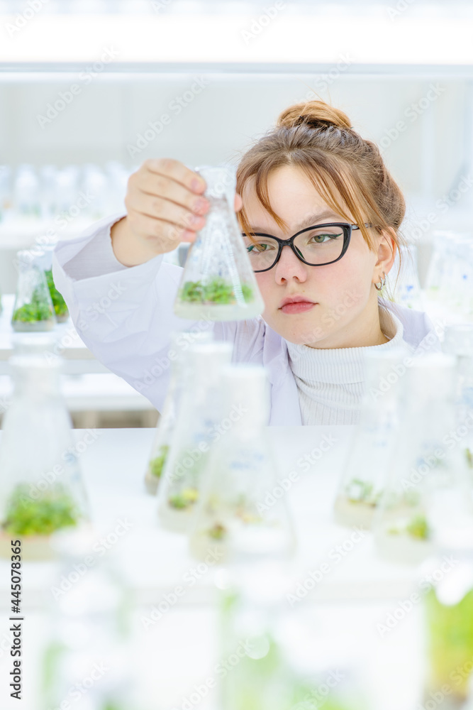 In a biological laboratory, a girl assistant examines test tubes with grown plants. Eco-friendly plants for farms
