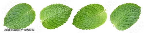 Mint leaf isolate on white. Mint isolated with clipping path. Professional studio macro shooting. Collection mint Clipping Path
