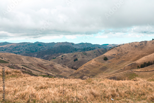 Andes, Ecuador 