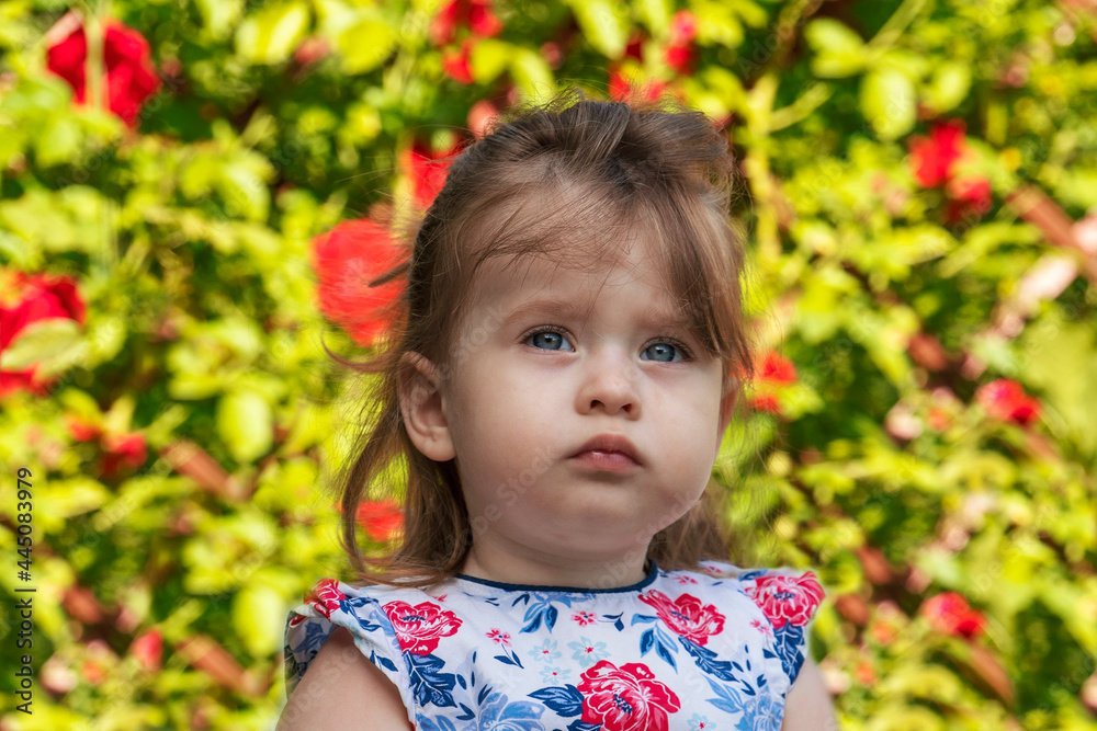 Portrait of small cute serious girl on floral backdrop. Portrait of small cute serious girl on floral backdrop.