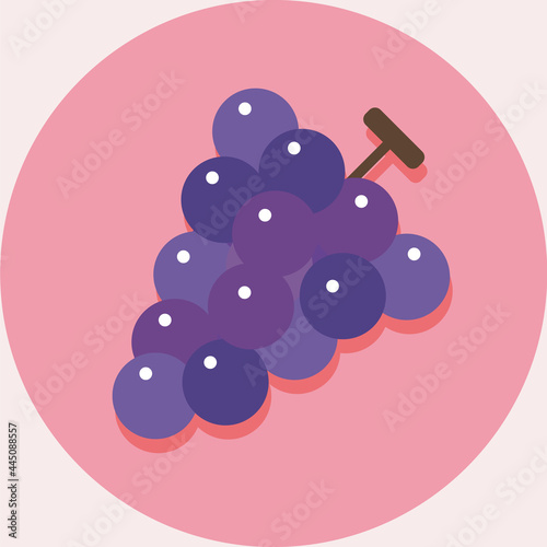 ぶどうのイラスト 有機野菜ベジタリアン Illustration of grapes organic vegetarian food