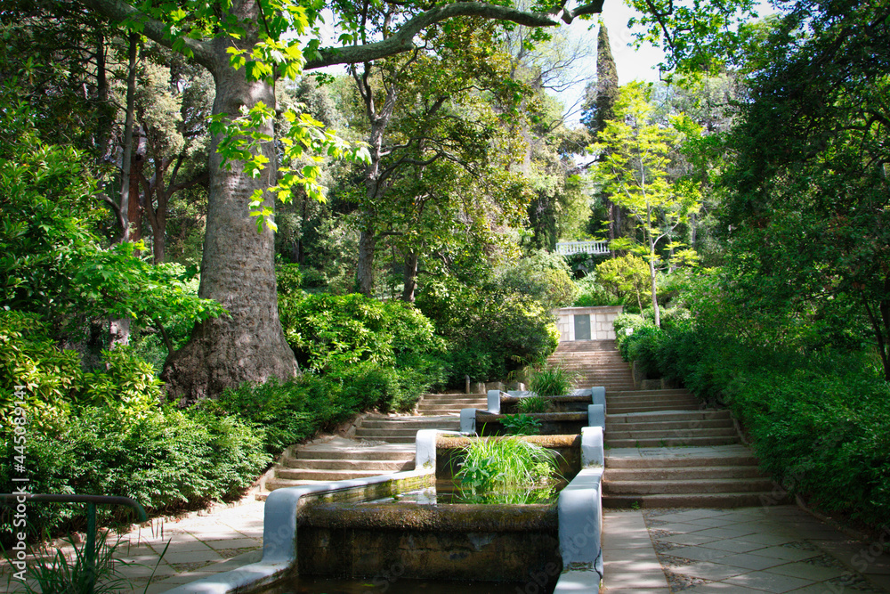 Ladders in Nikitsky Botanical Garden in Yalta city