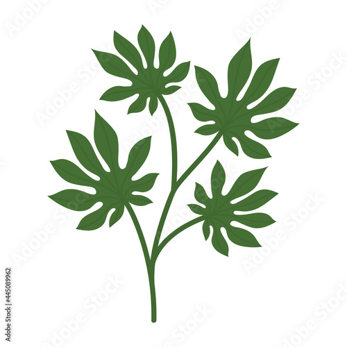 webbed leaves design