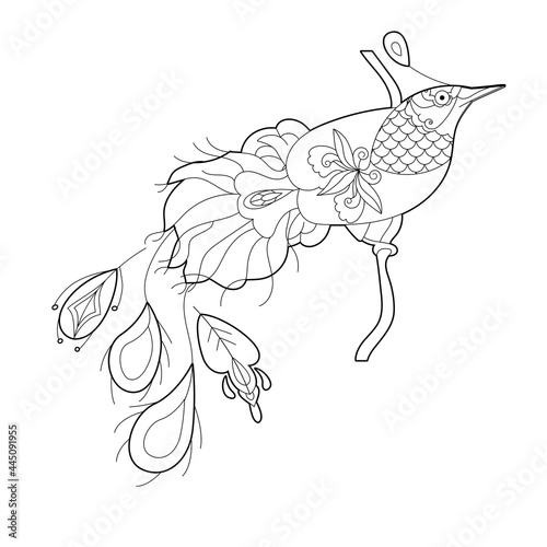 Contour linear illustration for coloring book with paradise bird. Beautiful tropical exotic bird,  anti stress picture. Line art design for adult or kids  in zentangle style and coloring page.