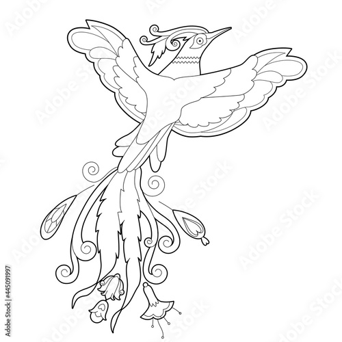 Contour linear illustration for coloring book with paradise bird. Beautiful tropical exotic bird   anti stress picture. Line art design for adult or kids  in zentangle style and coloring page.