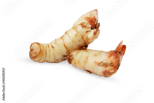 Galangal or Alpinia galanga isolated on a white background photo