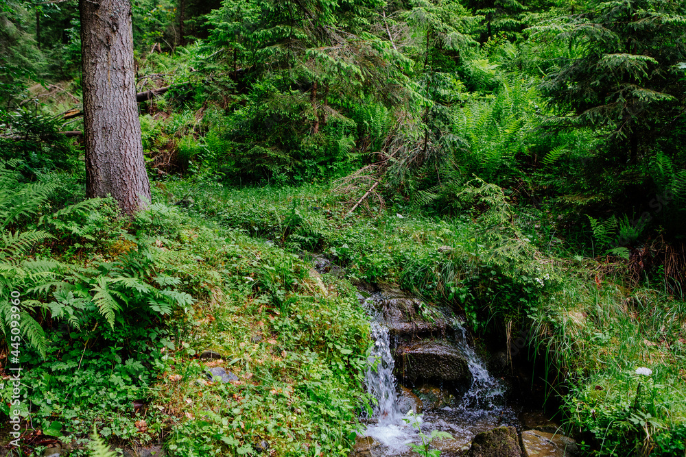 beautiful mountain waterfall with trees in the background beautiful mountain waterfall with trees in the background
