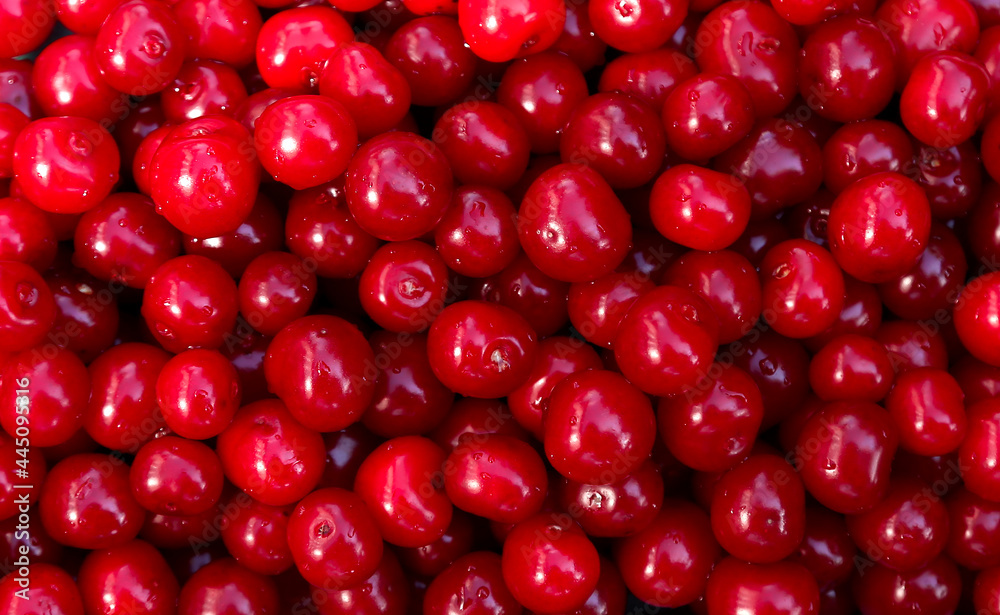 Abstract blurred fruit berry background - a scattering of ripe cherries Abstract blurred fruit berry background - a scattering of ripe cherries