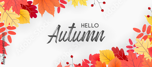 Hello autumn falling leaves. Autumnal foliage fall and poplar leaves. Autumn design. Templates for placards, banners, flyers, presentations, reports. photo