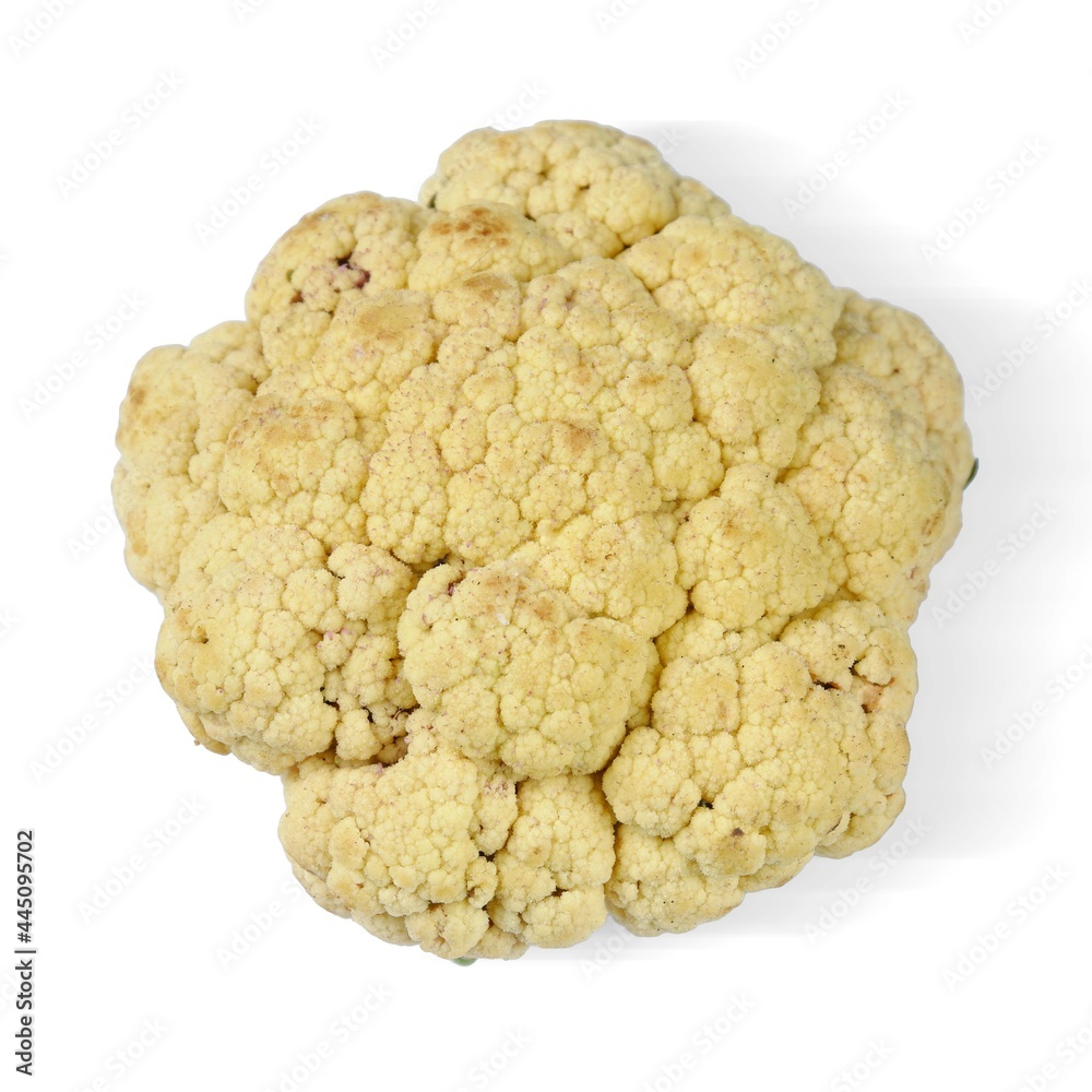 Cauliflower (Brassica oleracea var. botrytis) isolated on a white background Cauliflower (Brassica oleracea var. botrytis) isolated on a white background