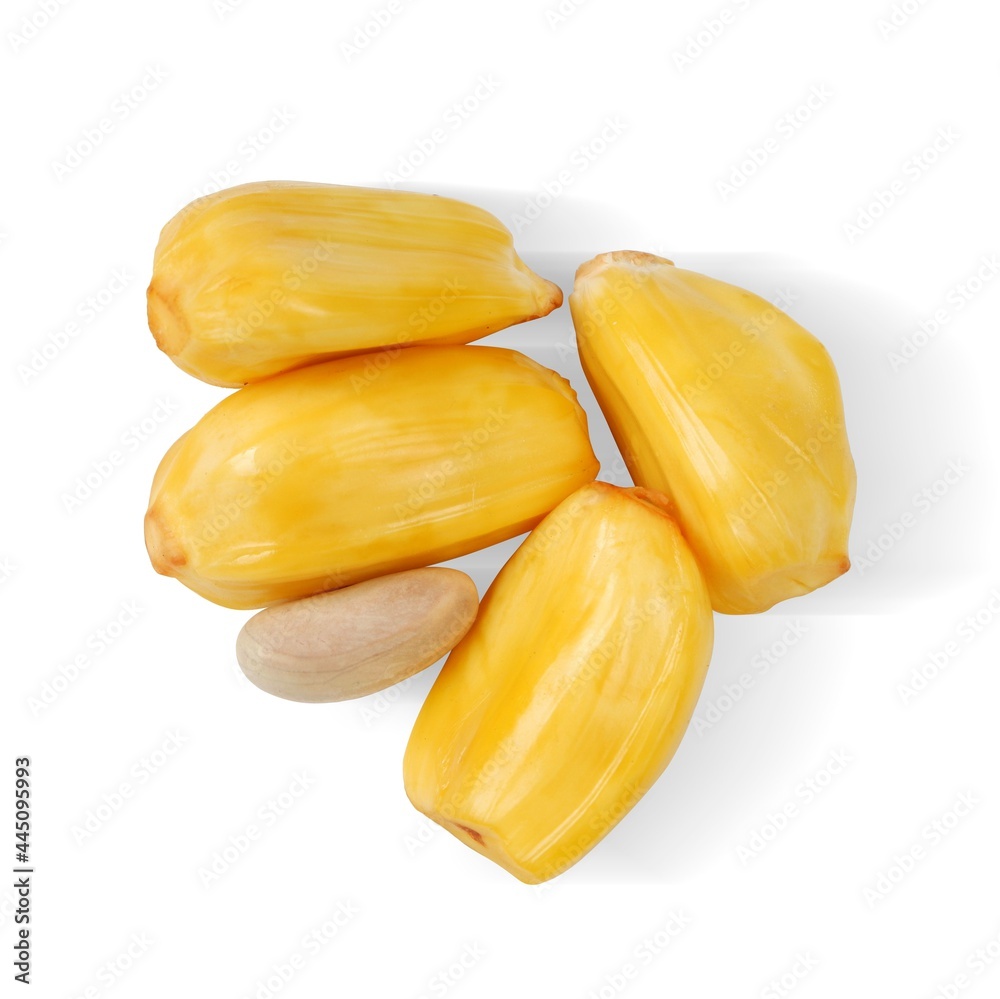 Jackfruit (Artocarpus heterophyllus) isolated on a white background Jackfruit (Artocarpus heterophyllus) isolated on a white background
