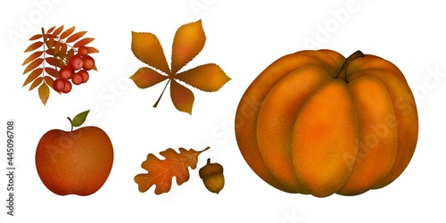 autumn textured orange pumpkin, rowan berries, apple, oak leaf, nut and chestnut hand-drawn digital illustration. Autumn vegetables set. Halloween.