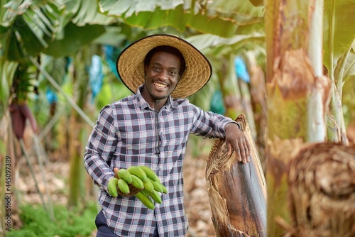 Obraz na płótnie Smiling ethnic harvester with fresh bananas in countryside