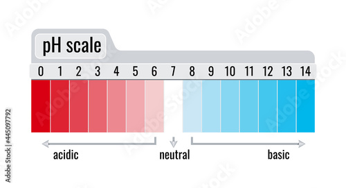 pH value scale chart meter for acid and base solutions isolated on white background. Chemistry test on plate - acid and base balance red and blue litmus indicator infographic. Flat vector illustration