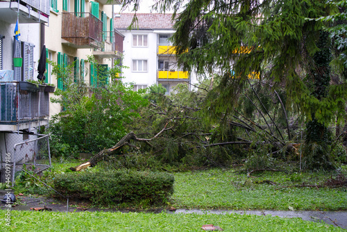 Shattered trees and branches after heavy nightly summer thunderstorm at City of Zurich. Photo taken July 13th, 2021, Zurich, Switzerland.