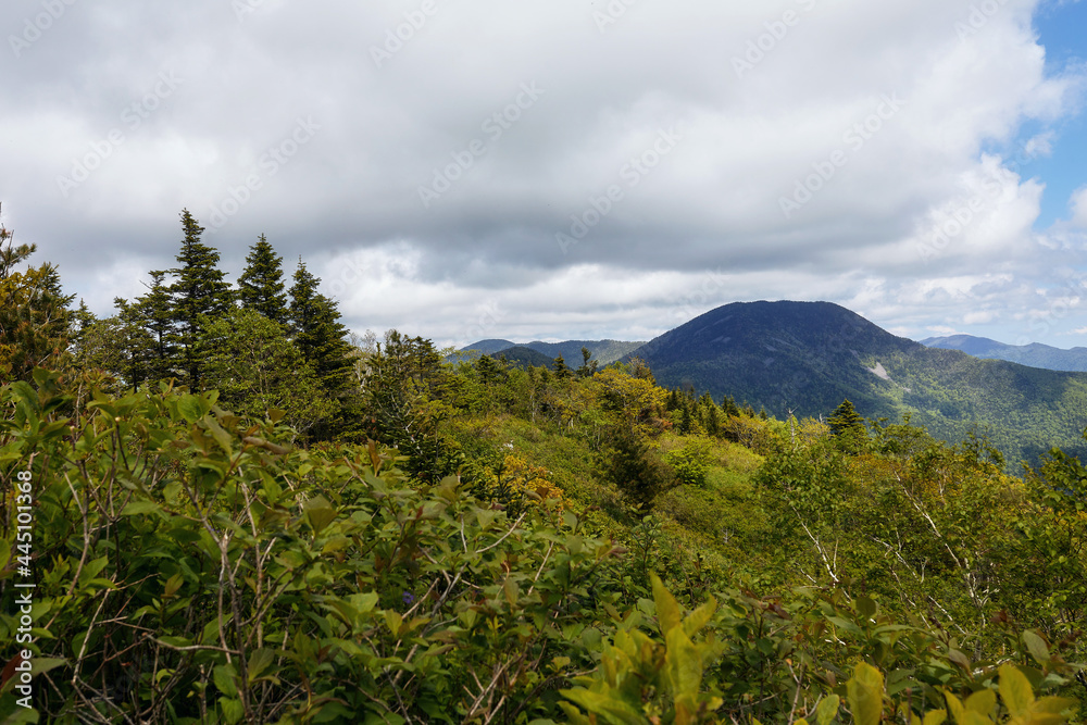 Fototapeta premium Gloomy landscape with coniferous forest, a lonely mountain, and autumn vibes