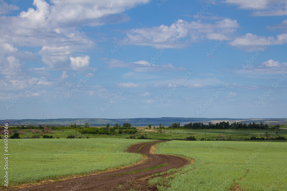 Beautiful landscape in Russia. A beautiful landscape with a field and a winding dirt road.