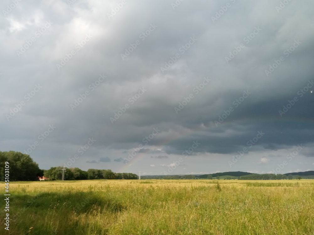 Wolken über Wiese