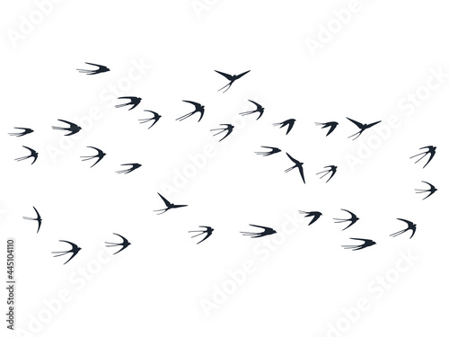 Flying martlet birds silhouettes vector illustration. Nomadic martlets swarm isolated on white.