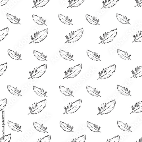 Vector white background tropical birds, parrots, macaw, exotic cockatoo birds feathers. Seamless pattern background