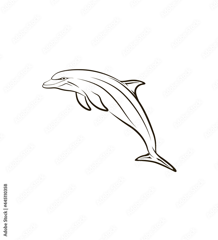 Fototapeta premium Stylized creative vector illustration of a dolphin tattooon black and white background