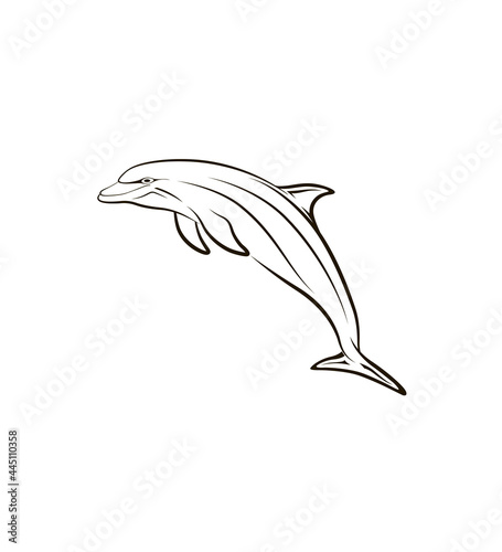 Stylized creative vector illustration of a dolphin tattooon black and white background