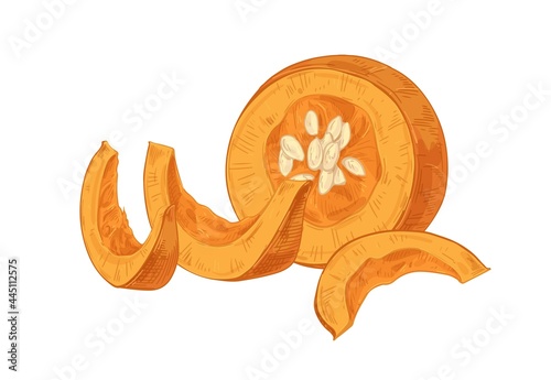 Cut pumpkin pieces with fleshy pulp and seeds. Vintage-styled hand drawn composition of autumn orange squash parts. Realistic vector illustration of pumkin drawing isolated on white background