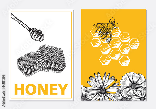 Honey and bees flyer set, hand drawn illustrations. Vector.